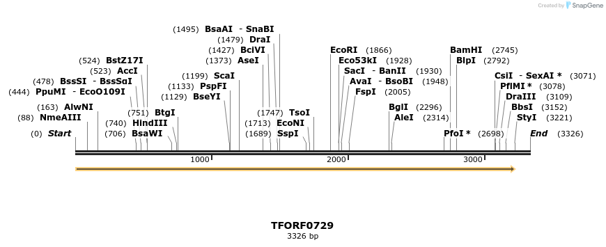 283314_map
