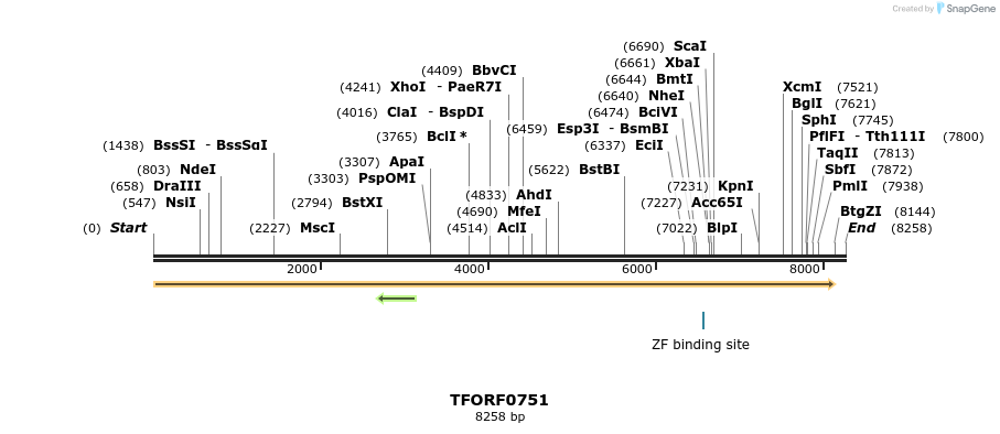 283317_map