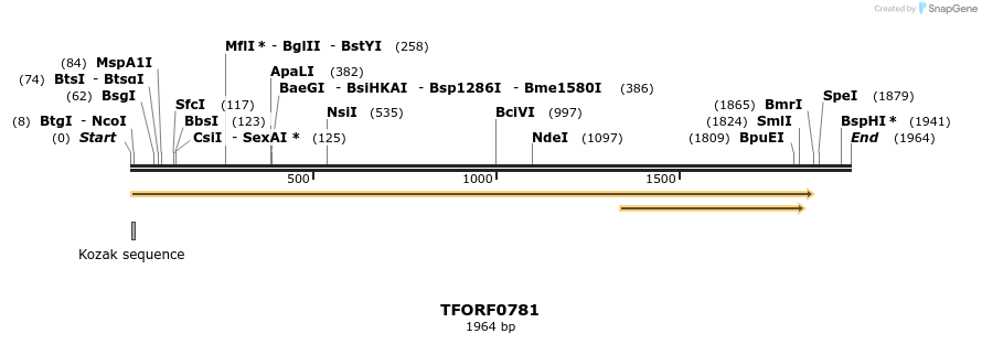 283320_map