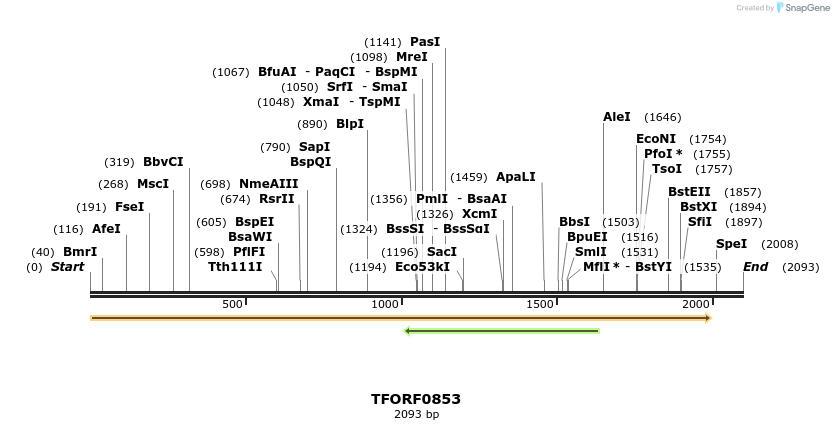 283323_map