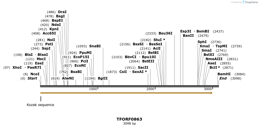 283326_map