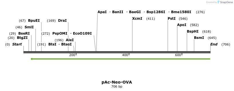 28333_map