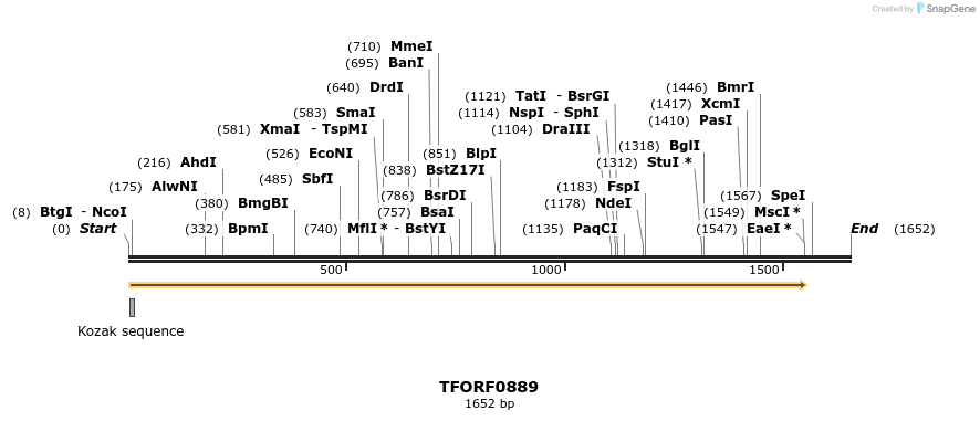 283335_map