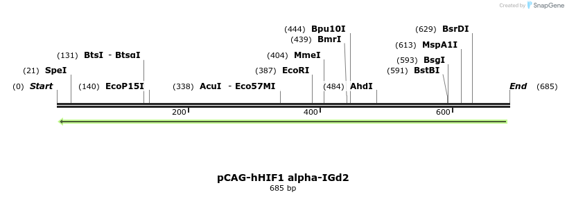 28334_map