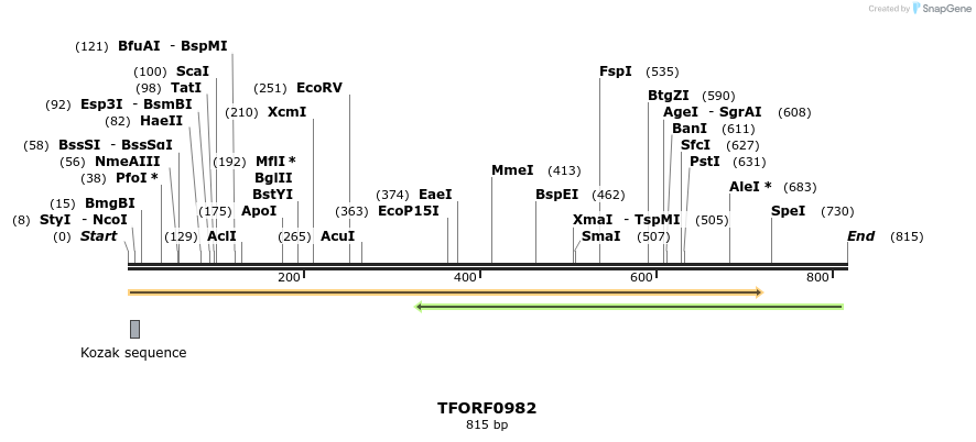283341_map