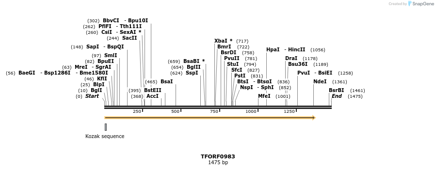 283344_map