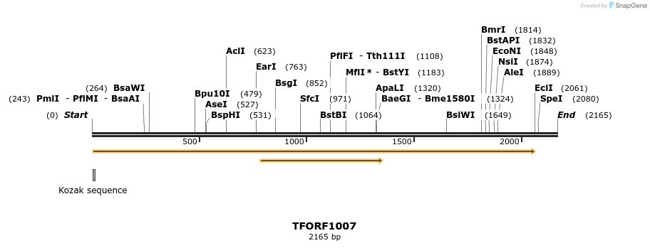 283350_map