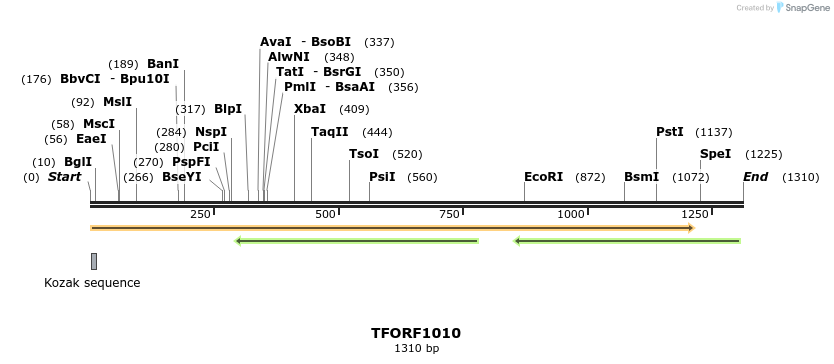283353_map