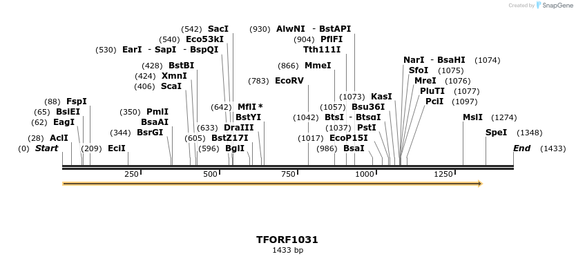 283359_map