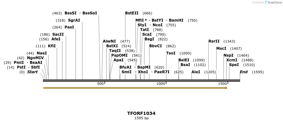 283362_map