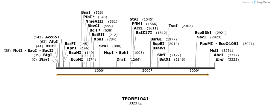 283368_map