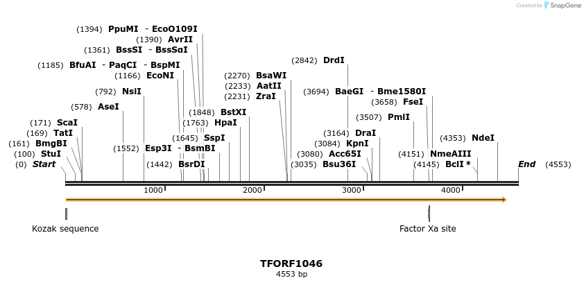 283371_map