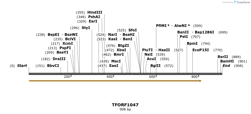 283374_map