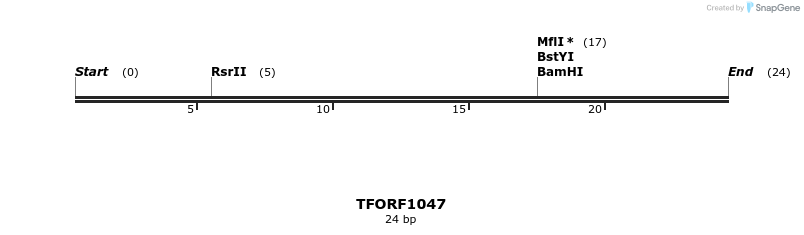 283375_map