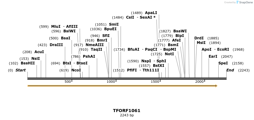 283377_map