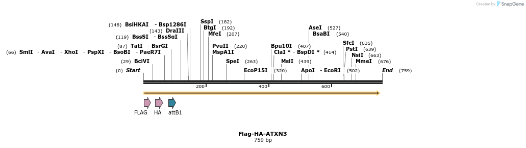 28338_map
