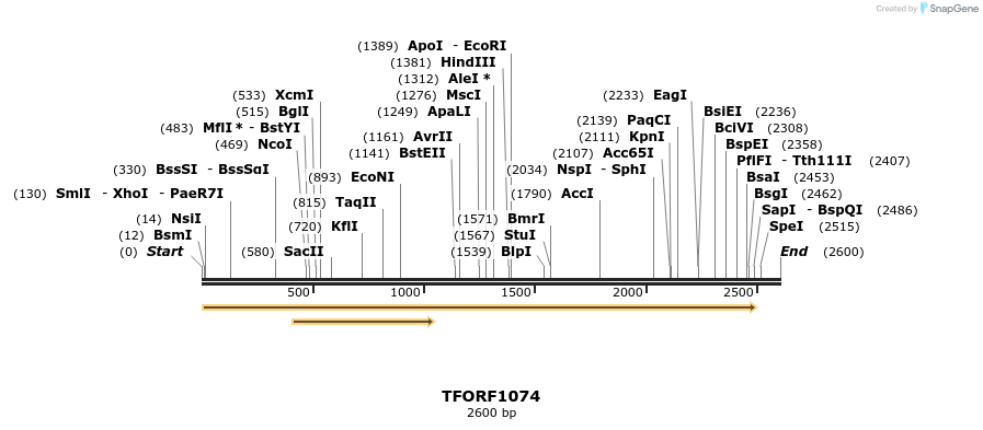 283386_map