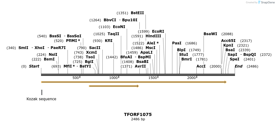 283389_map