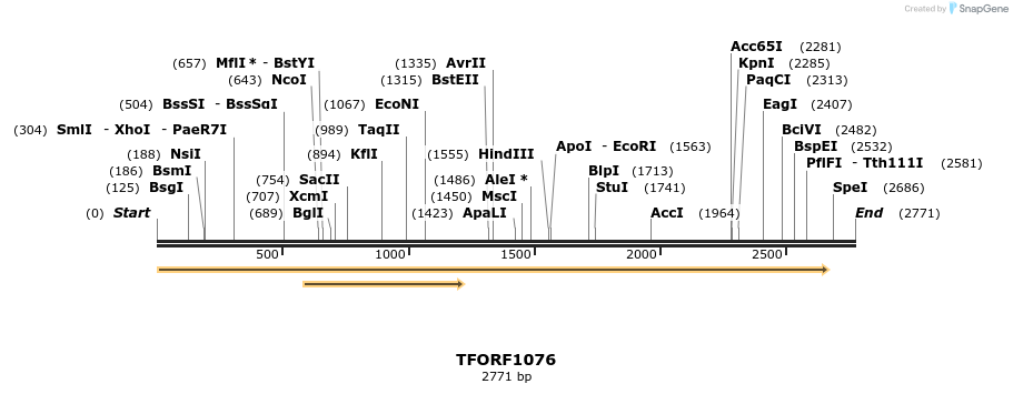 283392_map