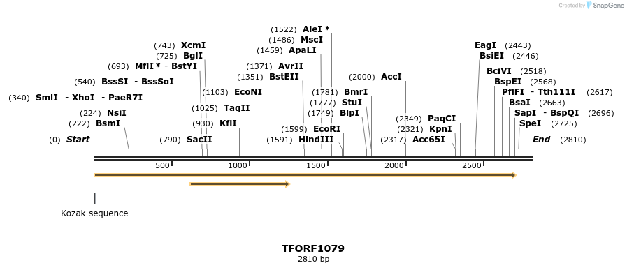 283395_map