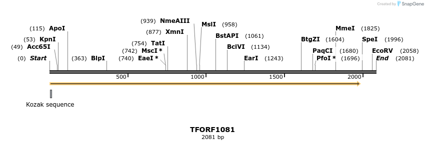 283398_map