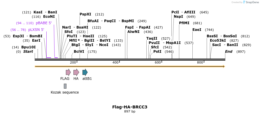 28340_map