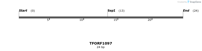 283411_map