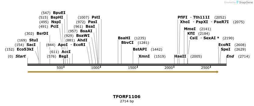 283413_map