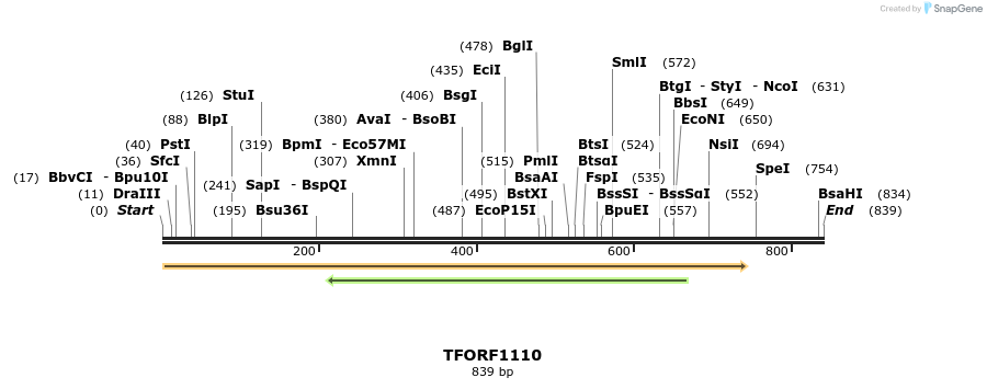 283416_map