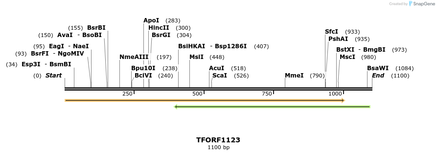 283419_map
