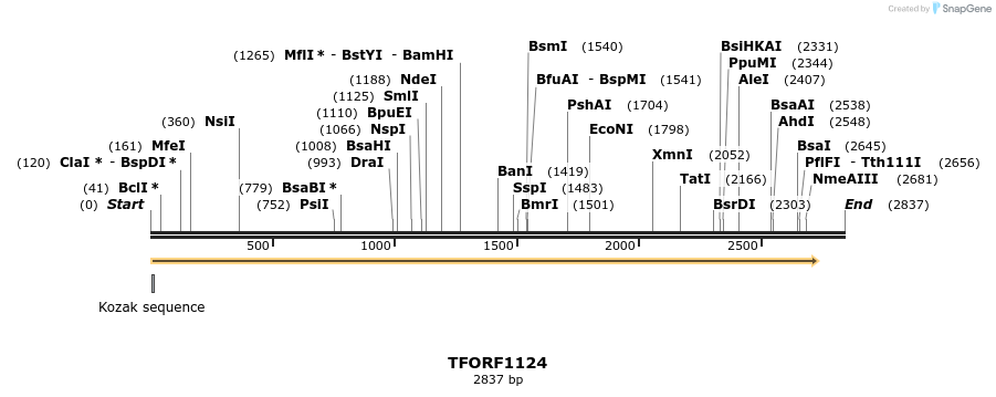 283422_map