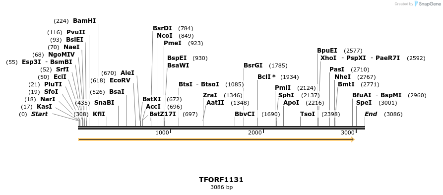 283425_map