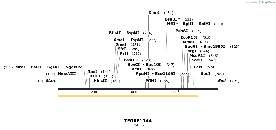283428_map
