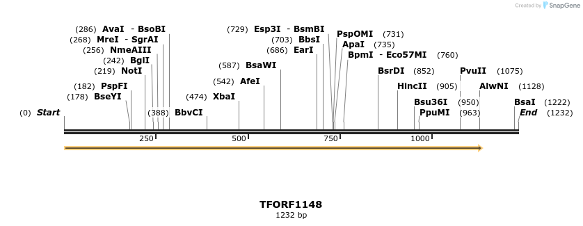 283431_map