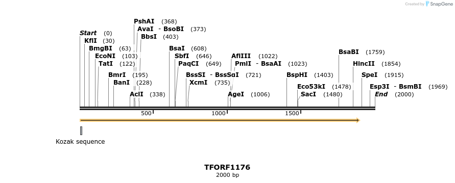 283440_map