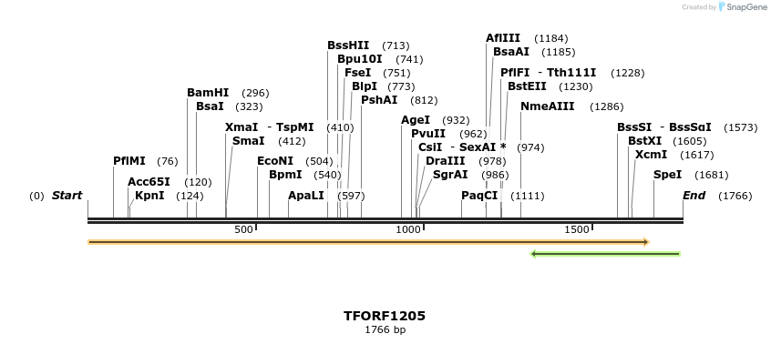 283443_map