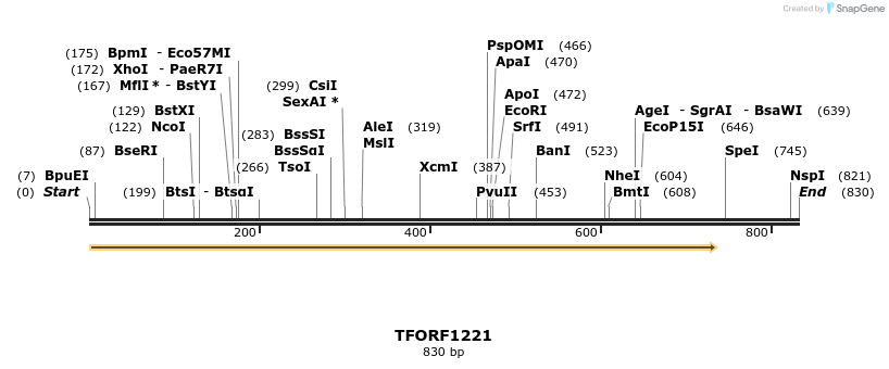 283446_map