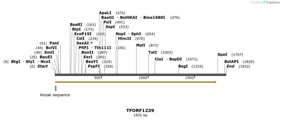 283452_map
