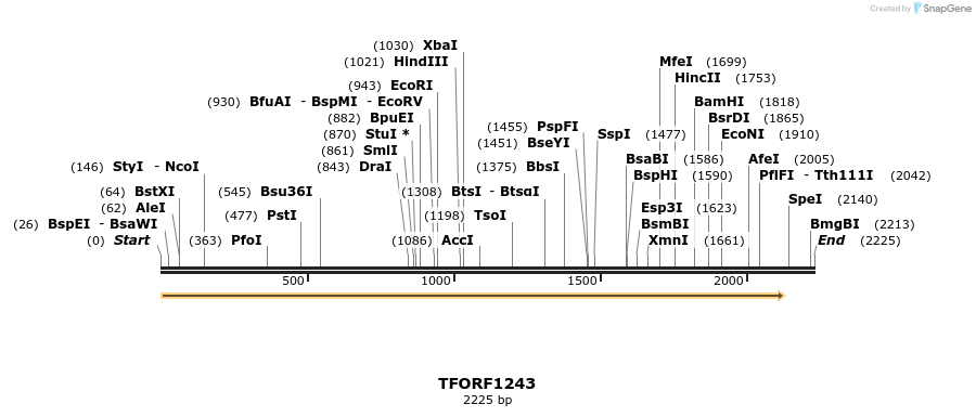 283455_map