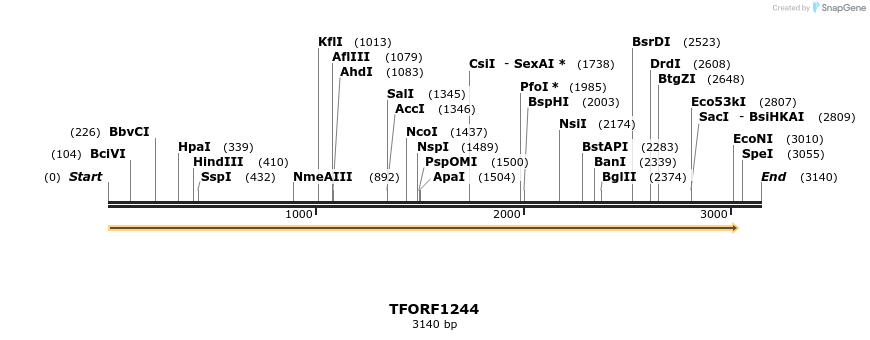 283458_map