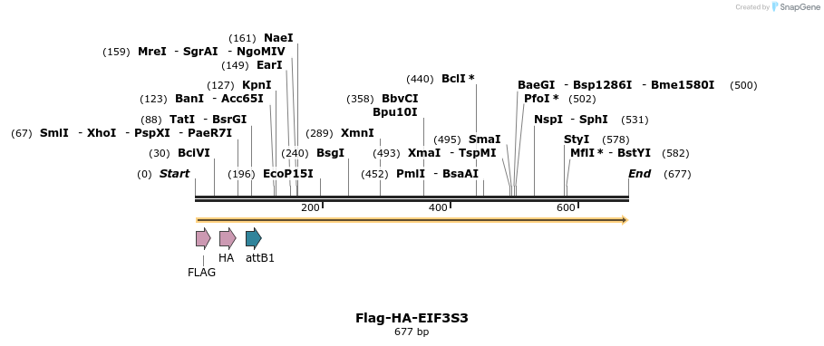 28346_map