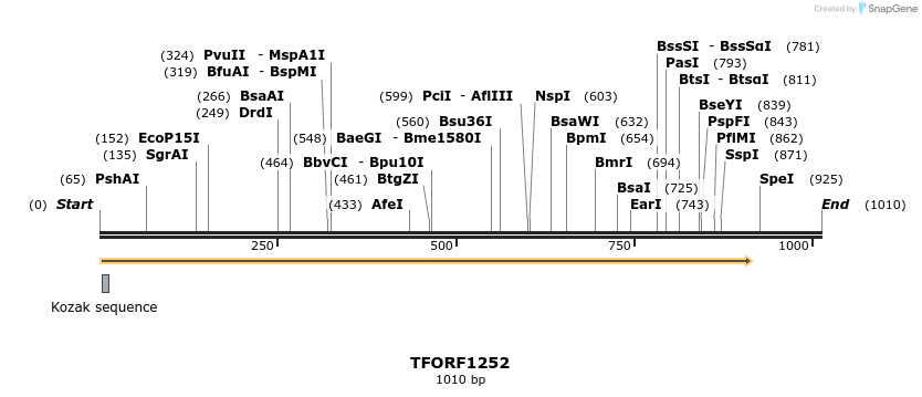 283461_map