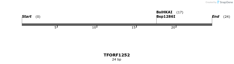 283462_map