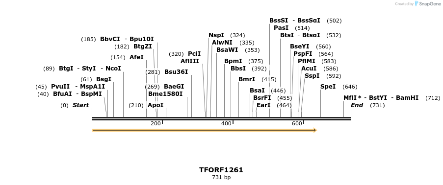 283464_map