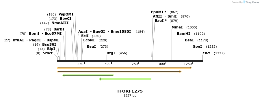 283470_map