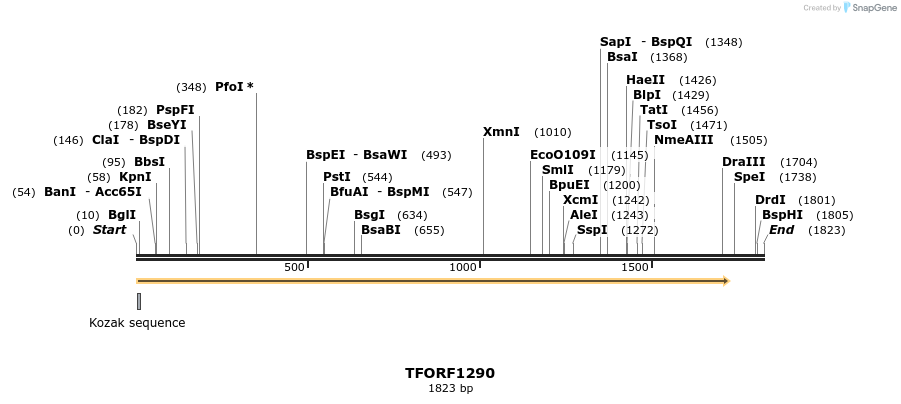 283473_map