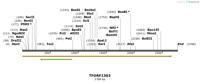 283479_map
