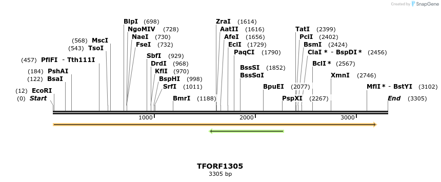283482_map