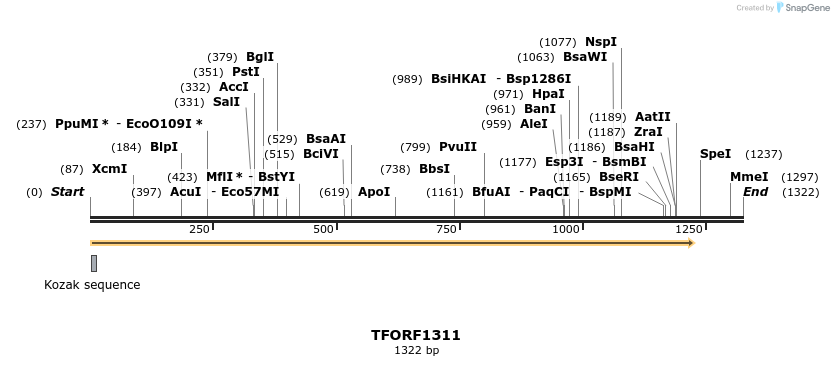 283485_map