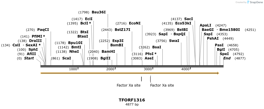 283488_map